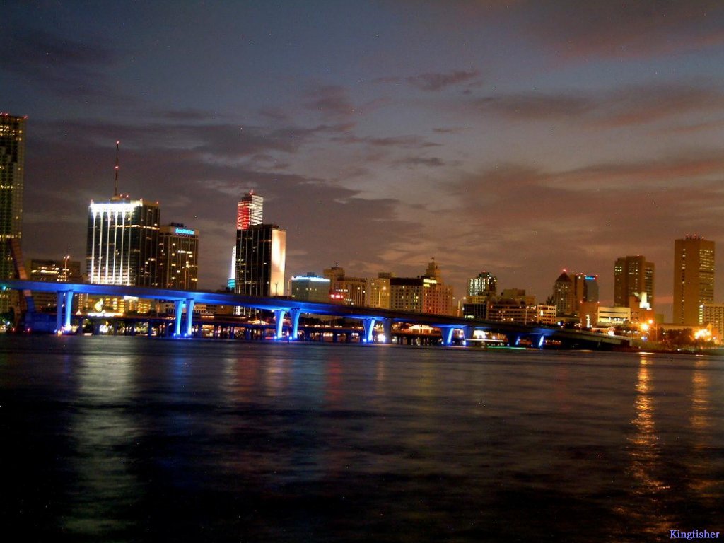 Miami skyline at night